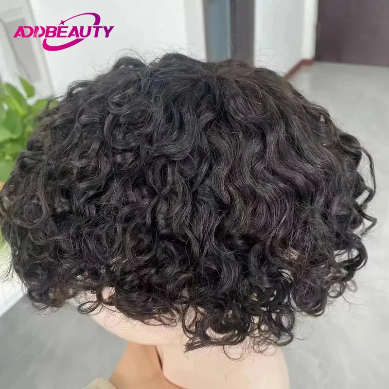 Curly Men Toupee Human Hair Full Lace Indian Human Hair Wig Man Human Hair System Water Curly Human Hair Topper Natural Color