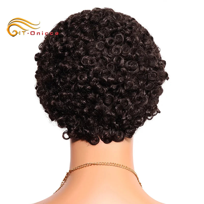 Pixie Cut Wig For Women Curly Hair Lace Front Human Hair Wigs Short Bob Wig Pre Plucked Natural Color 13X1 Lace Part Lace Wigs