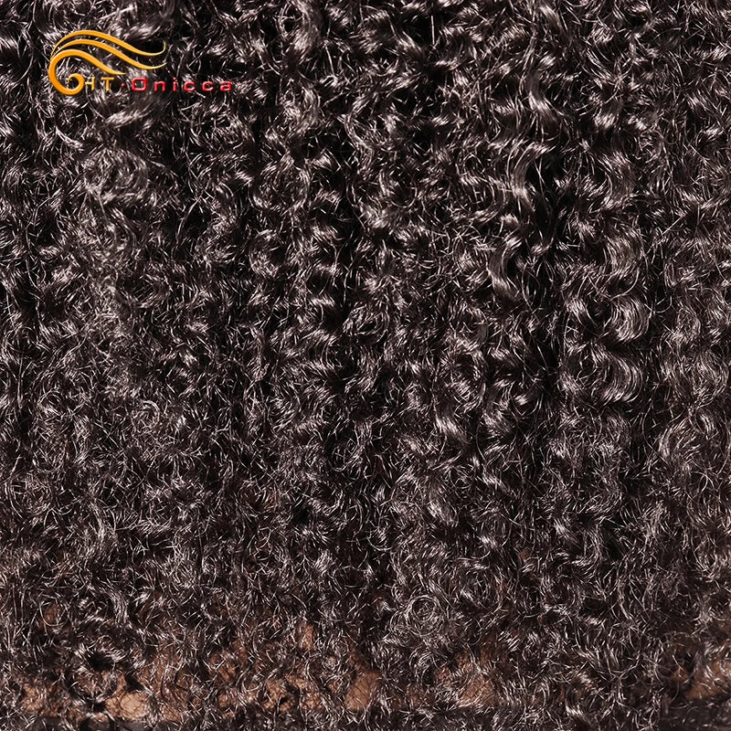 Kinky Curly Wigs Human Hair 4x4 Lace Closure Wig For Women Indian Curly Human Hair Wigs Natural Color 200% Density