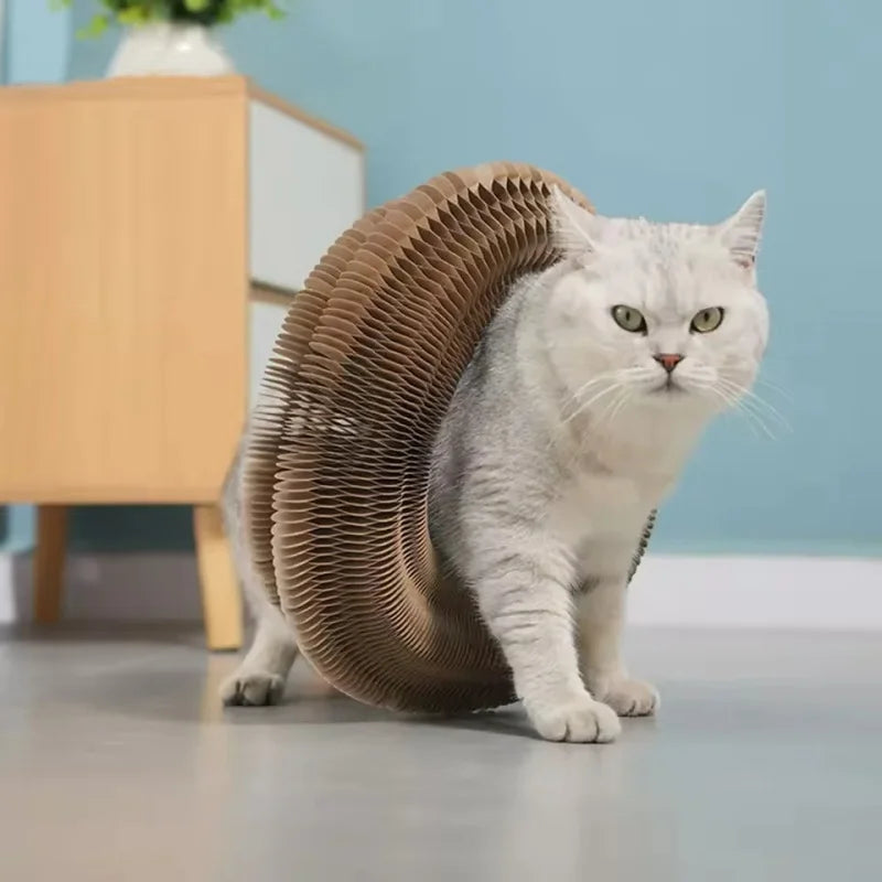 Magic Cat Scratch Organ Board Cat Toy with Ball Cat Grinding Claw Cat Climbing Frame Kitten Round Corrugated Cat Scratching Toy